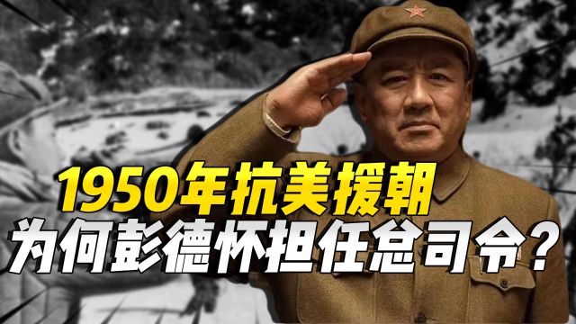 50年抗美援朝,陈毅毛遂自荐担任志愿军总司令,为何毛主席不同意