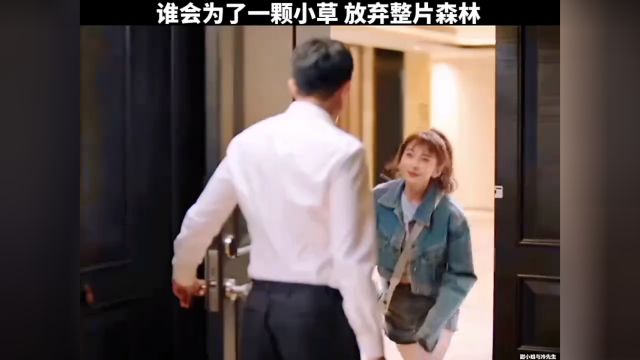 甜小姐与冷先生