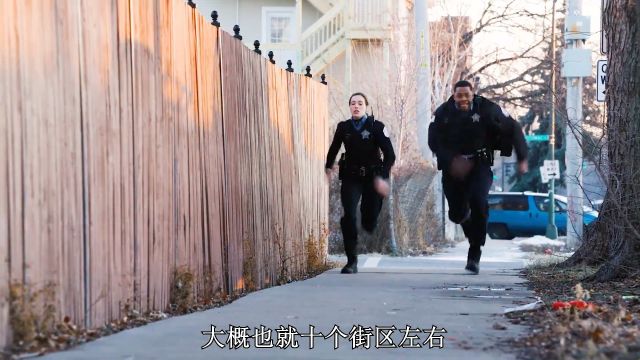 8.3高分神作,严肃的芝加哥警署也有搞笑的一面!2