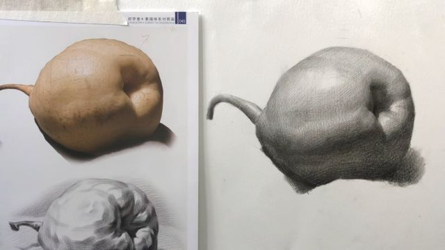 成功轨迹美术培训学校 中高考名师张老师素描单体教学视频