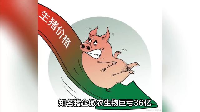 生猪养殖行业寒冬,傲农生物巨亏36亿求变