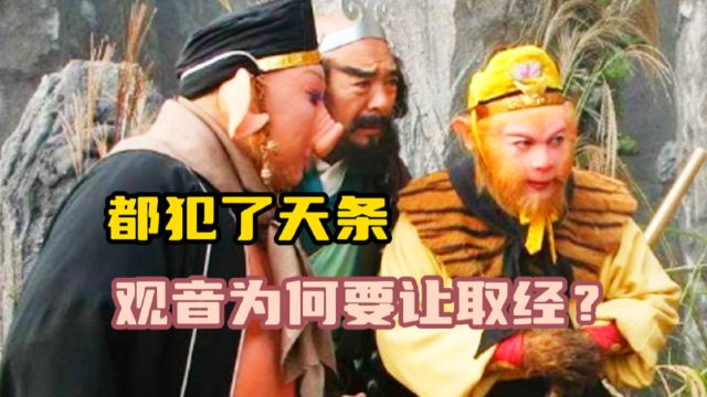 观音菩萨为何要选3个犯天条的人取经?你看他们名字合起来是什么