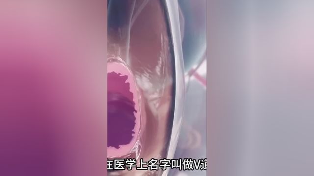 处女膜的形成与作用女性健康生命科学涨知识身体构造的奇妙女性成长