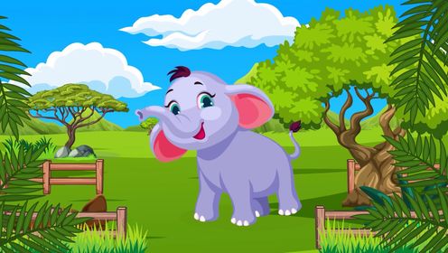 儿童动物科普动画：动物世界的奇妙旅行——聪明动物在哪里？探索自然界的智慧与奇迹