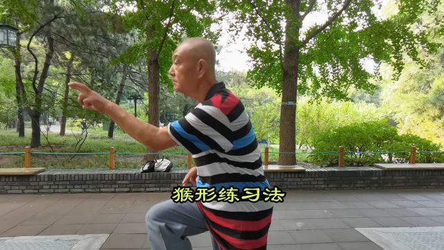 形意拳十二形之猴形练习法:张发智之功夫(66)