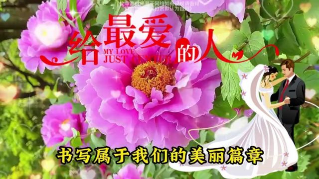 我们彼此的情感从未停歇【这封书信送给你】传递我的思念