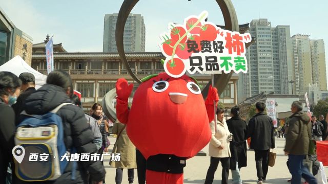 视频:“泾阳西红柿”专场品鉴推介会在西安举办