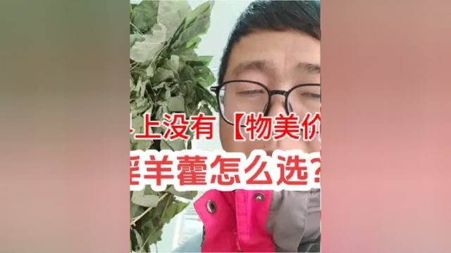 世界上没有物美价廉,一分价钱一分货,淫羊藿选购指南中药材 中医 淫羊藿 中医养生 亳州