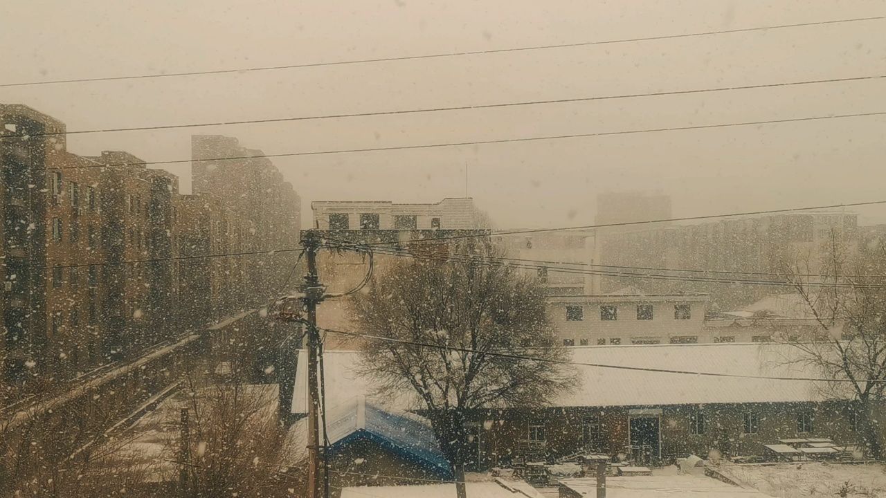 3月鹅毛大雪,你的城市下雪了吗?