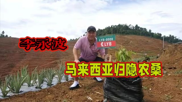 李永波海外归隐农桑