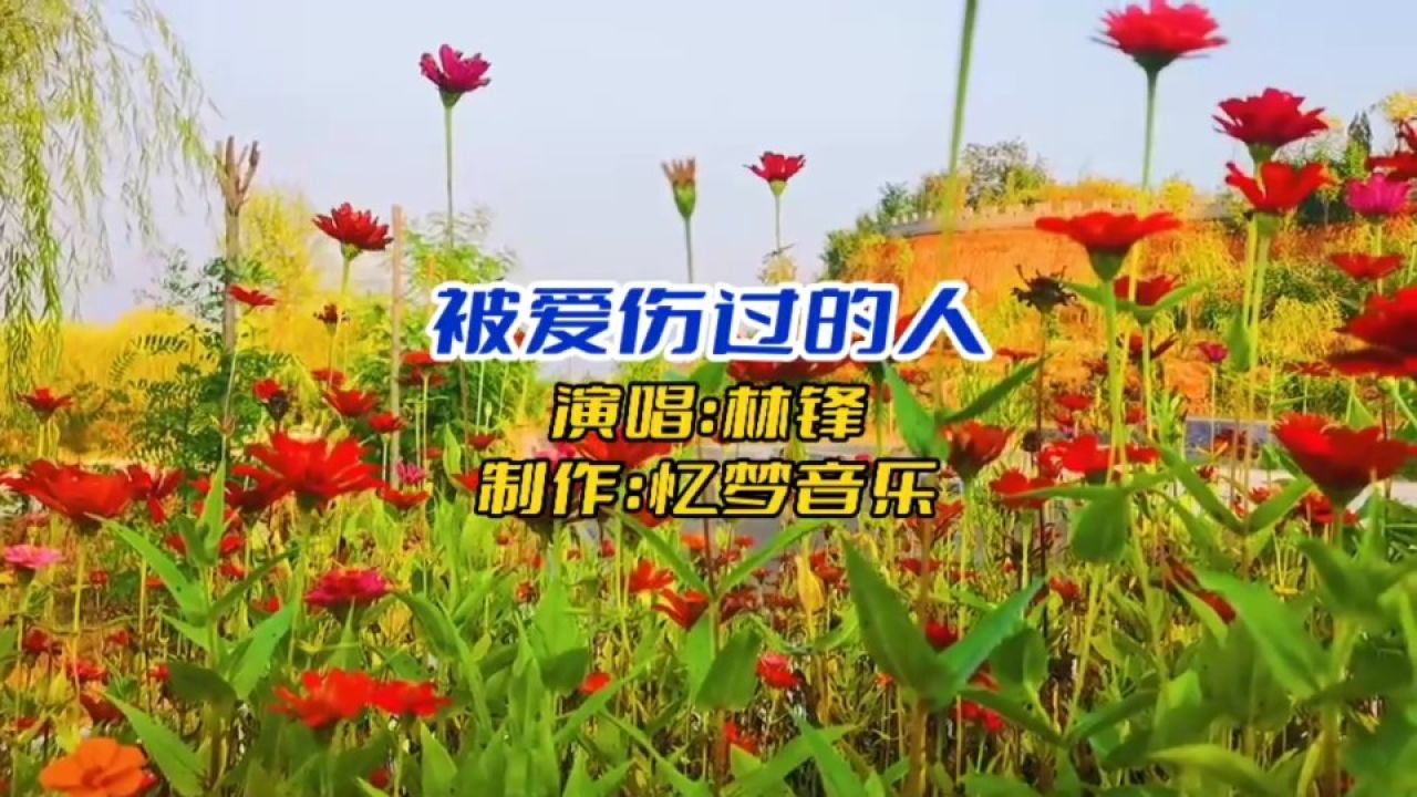 林峰伤感情歌《被爱伤过的人》,爱到最后才发现伤的是自己!