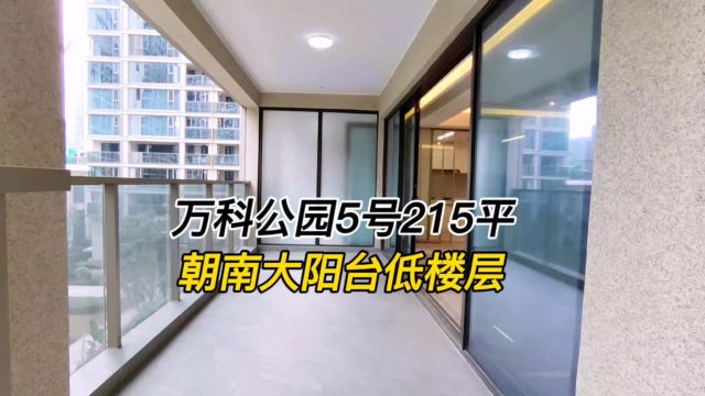 高新区大源天府一街大平层豪宅客厅带大阳台户型