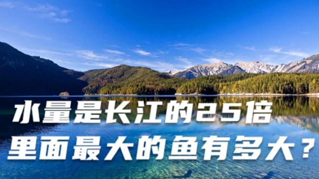 贝加尔湖深达千米,水量是长江的25倍,里面最大的鱼有多大?