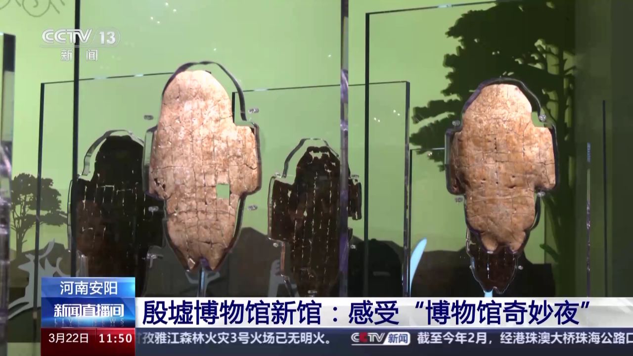 首次开放!来河南安阳感受"博物馆奇妙夜"
