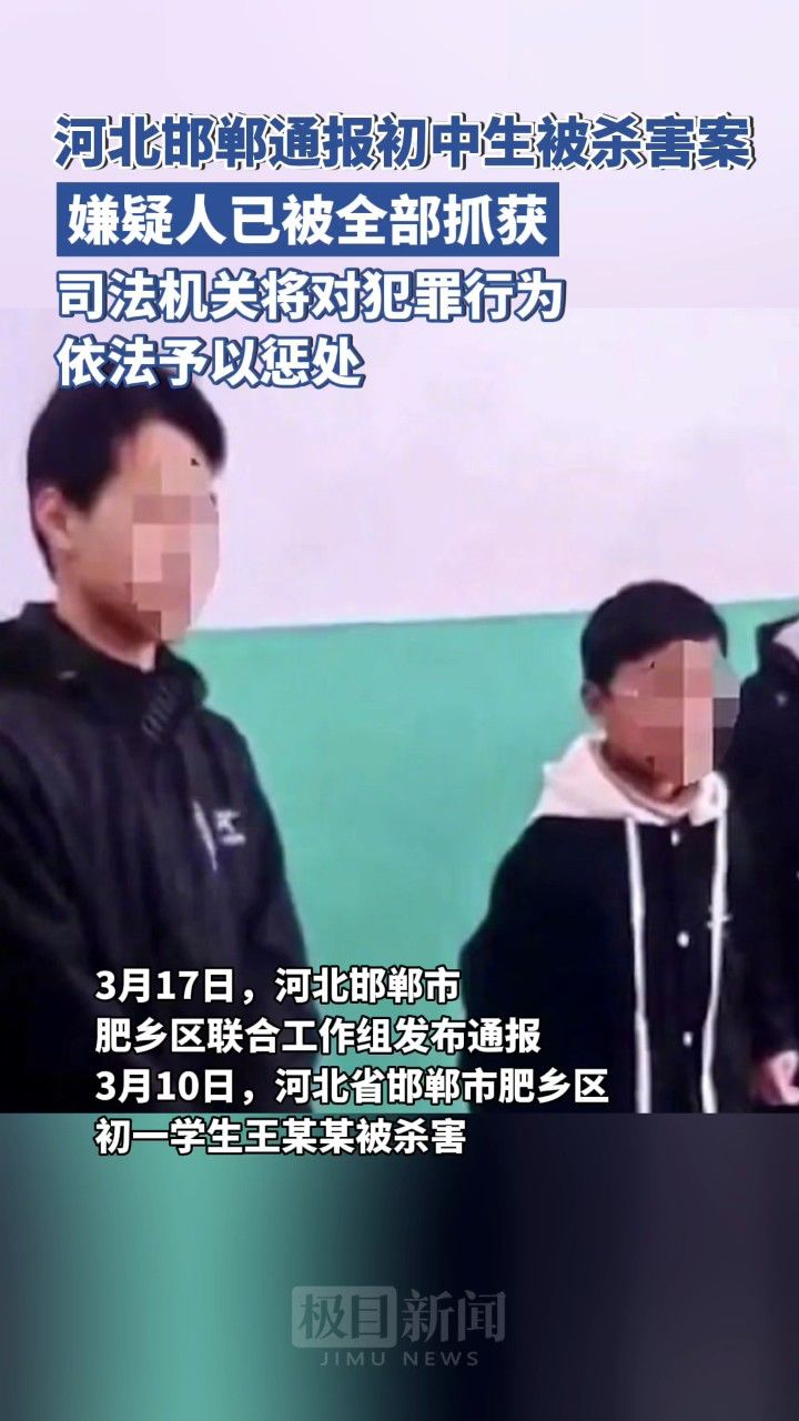 杨晓丽被杀案图片