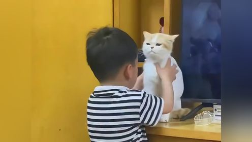 家里有小孩不要养猫狗，对猫猫狗狗特别不好#狗狗 #猫咪 #人类幼崽 #搞笑视频