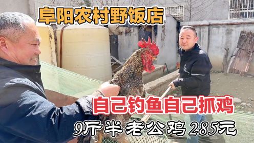 皖北大神级农村野店，两年大公鸡30元一斤，一只9斤多土灶红烧