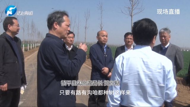 镇平林业局打造高标准农田林网 河南省科学绿化观摩会在镇平杨营林寨举行