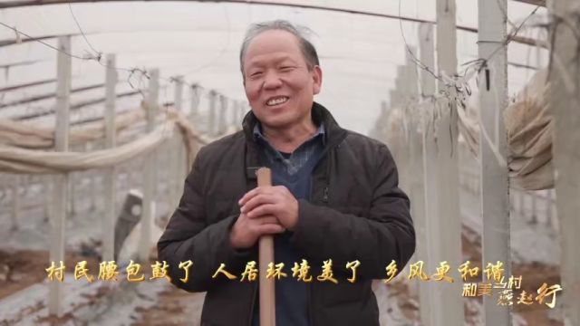 南双晶村:提升农村人居环境 打造和美乡村