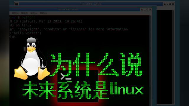 013为什么说未来系统是linux