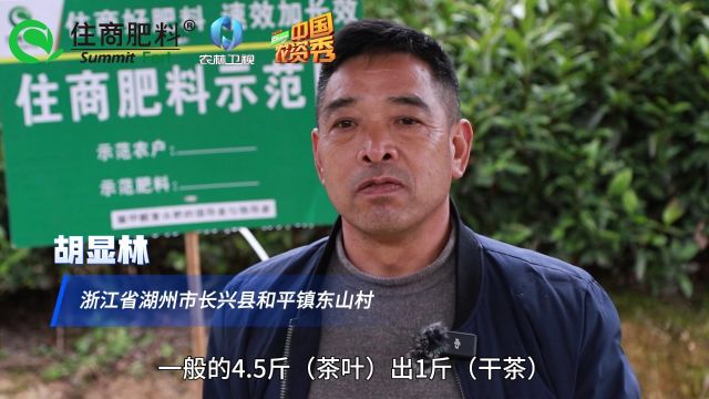 农资秀 住商肥料“脲醛”减肥增效中国行:住商肥料好 采茶时间早