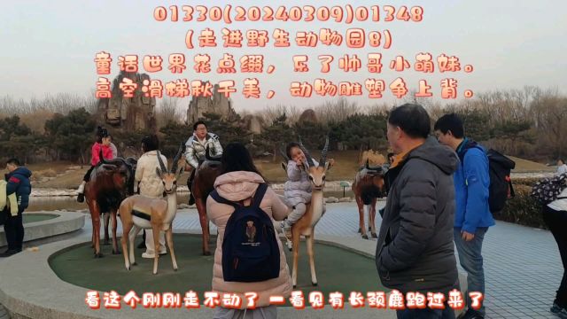 01127(走进野生动物园8)童话世界花点缀,乐了帅哥小萌妹.高空滑梯秋千美,动物雕塑争上背.