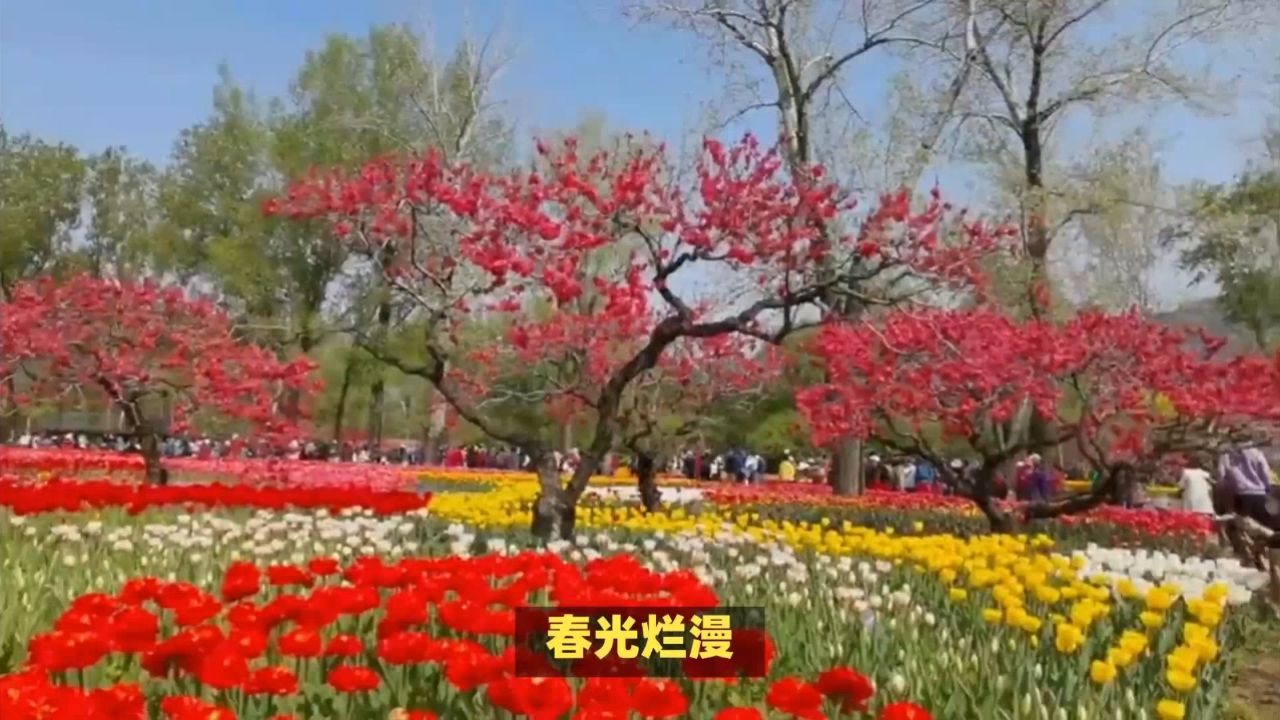 诺康达提醒您-北京赏花去处