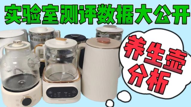 养生壶哪个牌子好?热销养生壶品牌大测评