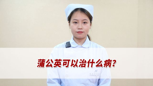 蒲公英可以治什么病?