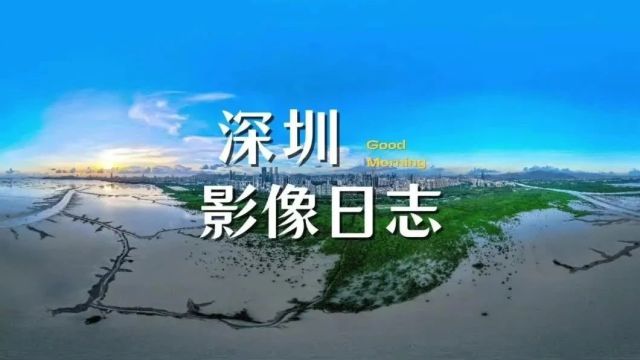 早安深圳|深圳8区上榜!