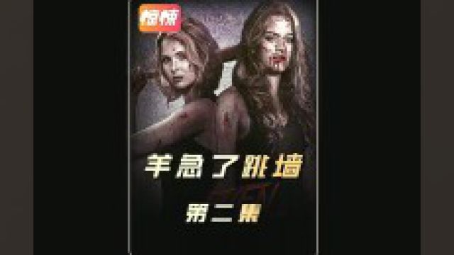 第2集《羊急了也跳墙23》这就是人贩子的下场 #羊急了也跳墙 #恐怖惊悚 #电影推荐