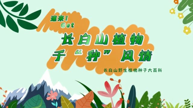 探秘!长白山植物千“种”风情~乌苏里鼠李