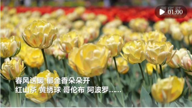 看天下丨名单公示!新站启用!抓获18人,捣毁跨省犯罪团伙→