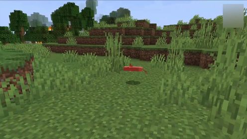 我的世界关于鱼的冷知识