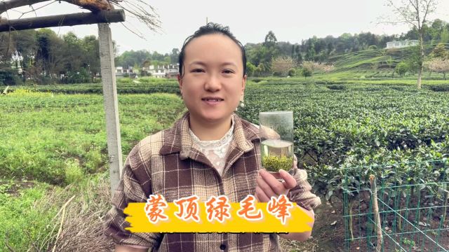 高山绿茶嫩毛峰,喝起来鲜香甘甜,有滋有味的一款碧螺春茶叶