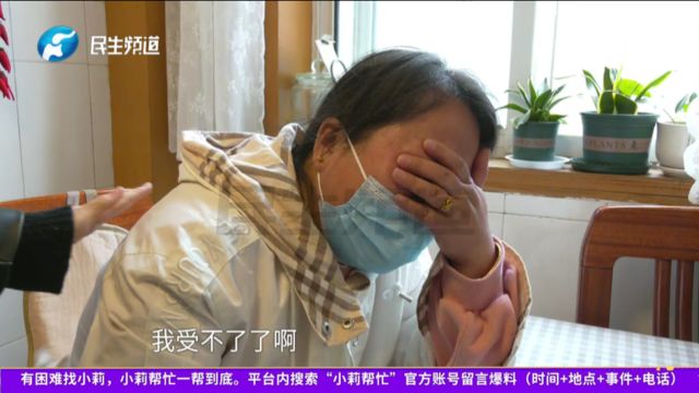 河南郑州:家中突然出现一条一米多长花蛇,女子被吓哭,蛇究竟从哪来的?