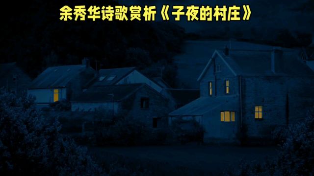 余秀华诗歌赏析《子夜的村庄》