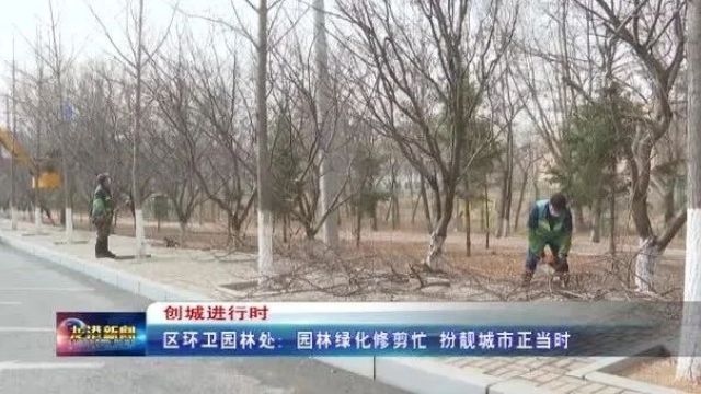 区环卫园林处:园林绿化修剪忙 扮靓城市正当时