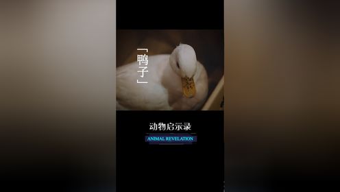 02嘘,我有个秘密