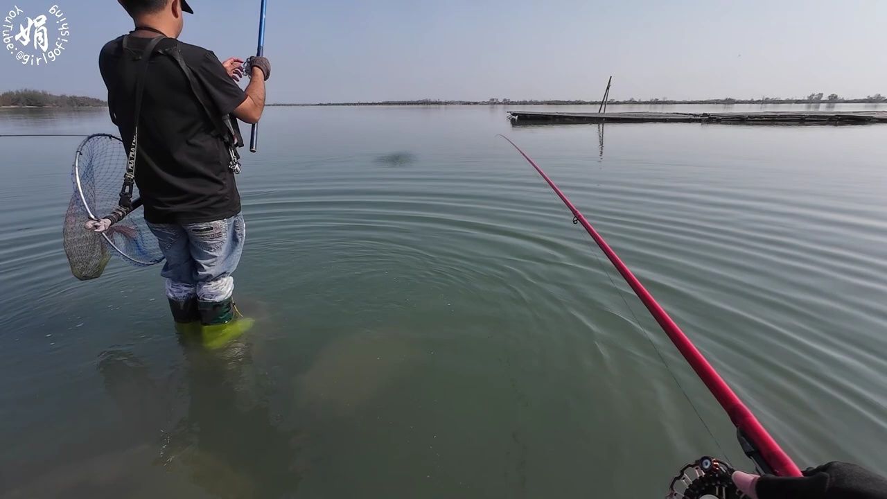 前打钓鱼,石斑鱼真多,拉的超给力
