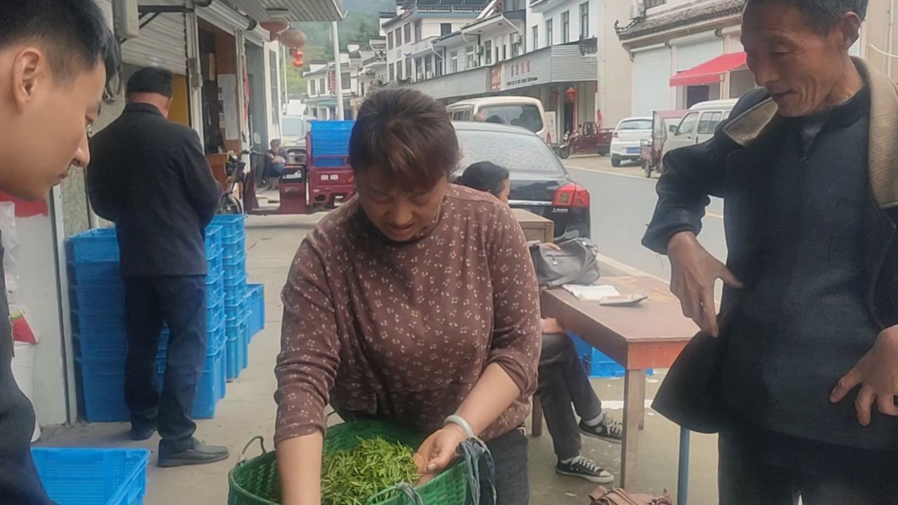 歙县许村茶叶市场4月5日