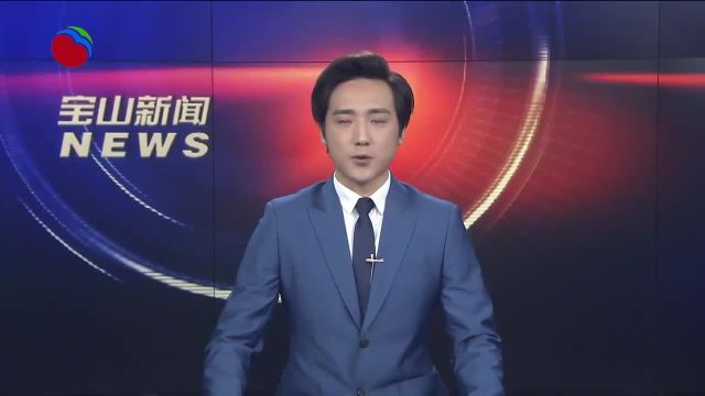 凝聚统战工作更大实效 更好赋能“一地两区”建设 宝山区统战工作会议召开