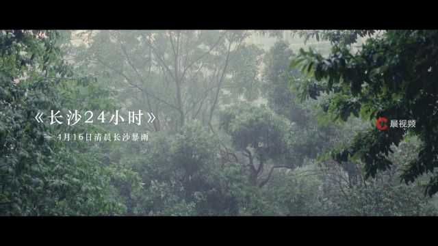 长沙 24 小时|暴雨下的长沙