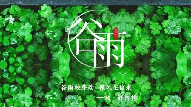 【时光映画ⷤ𚌥四节气 】谷雨