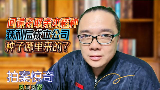 间谍售卖亲本稻种获利后成立公司,种子哪里来的?