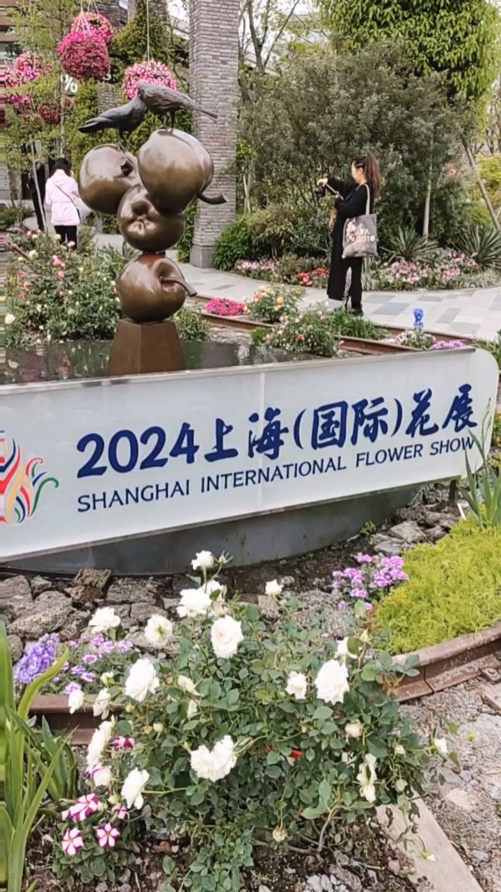 2021上海国际花展图片图片