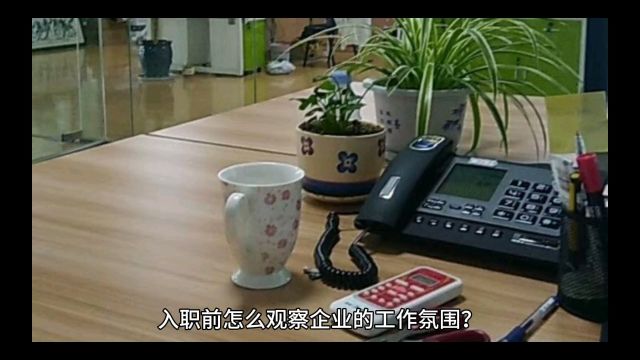 入职前怎么观察企业的工作氛围