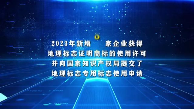 2024年高要区知识产权宣传周启动仪式暨知识产权质押融资对接会成功举办