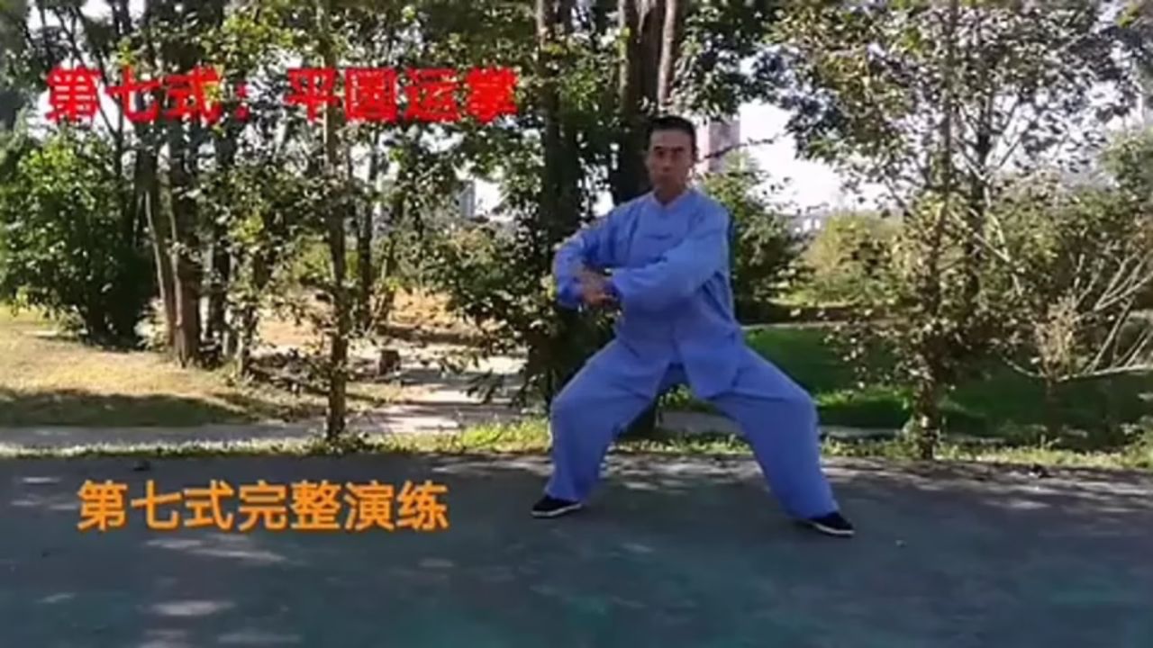 武当游龙太极拳 内功养生九式分解教学 9 第七式:平圆运掌
