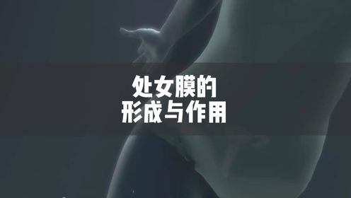 处女膜的形成与作用_高清